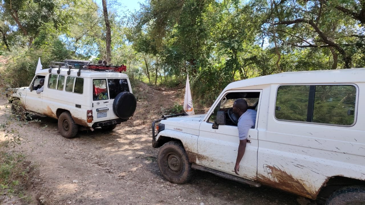 Activity from education